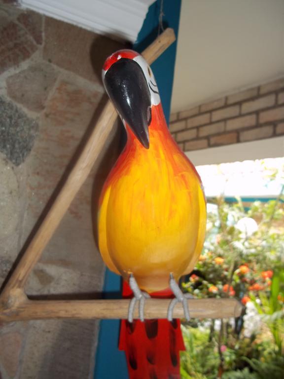 Pousada Riacho Doce Caraguatatuba Phòng bức ảnh